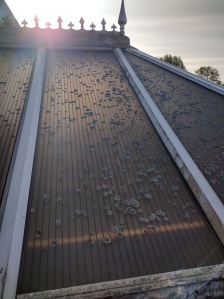 A very dirty conservatory roof covered in lichens